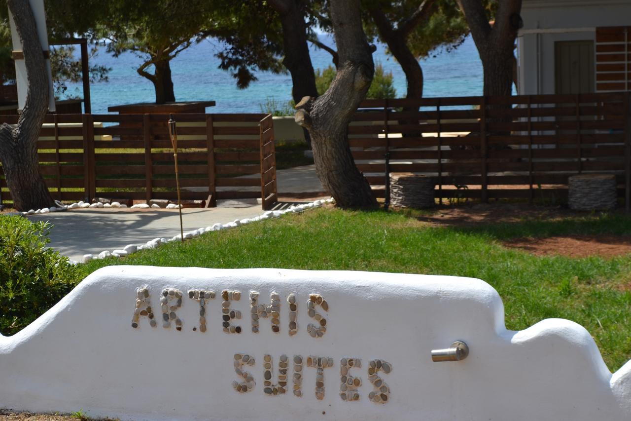 Artemis Ξενοδοχείο με διαμερίσματα Romanos (Messenia)